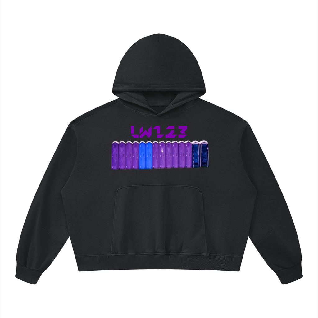 LW 123  Boxy Vintage Washed Hoodie