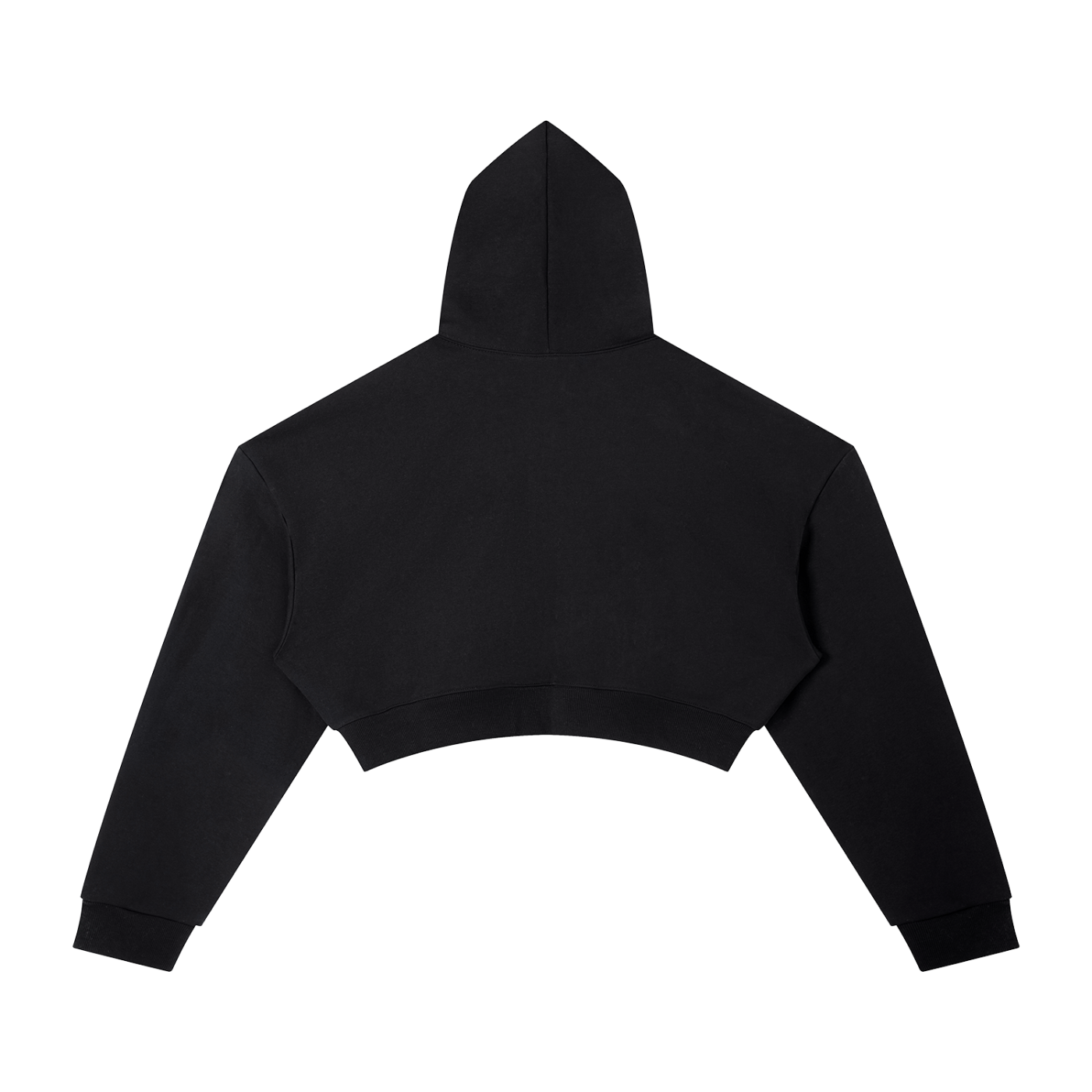 LW 123 Essential Cropped Hoodie