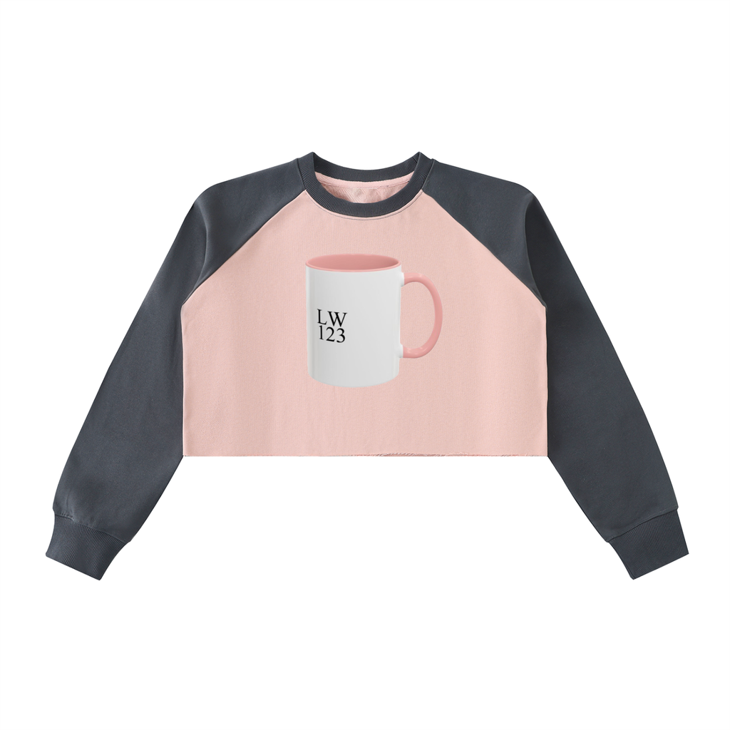 Raw-Hem Color-Block Raglan Crop Sweatshirt