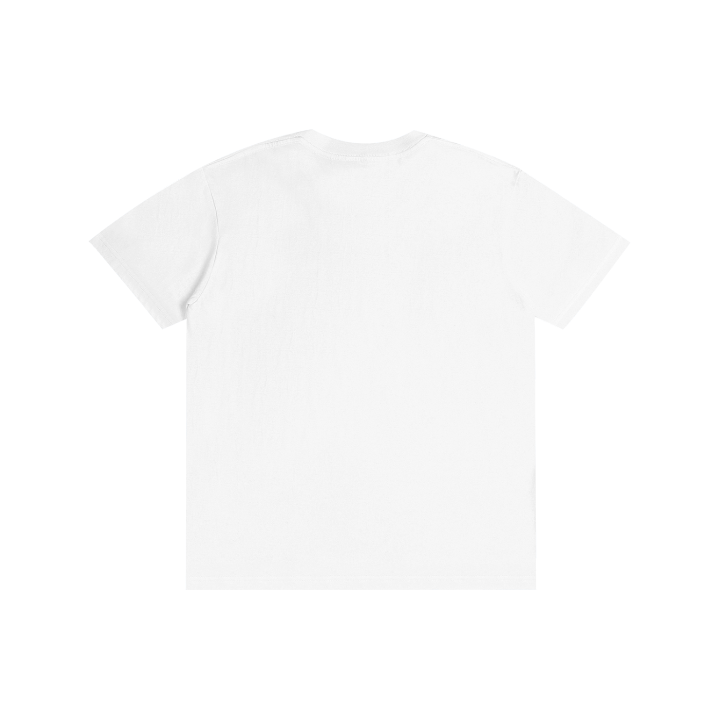 LW 123 Pure Cotton Unisex T-Shirt