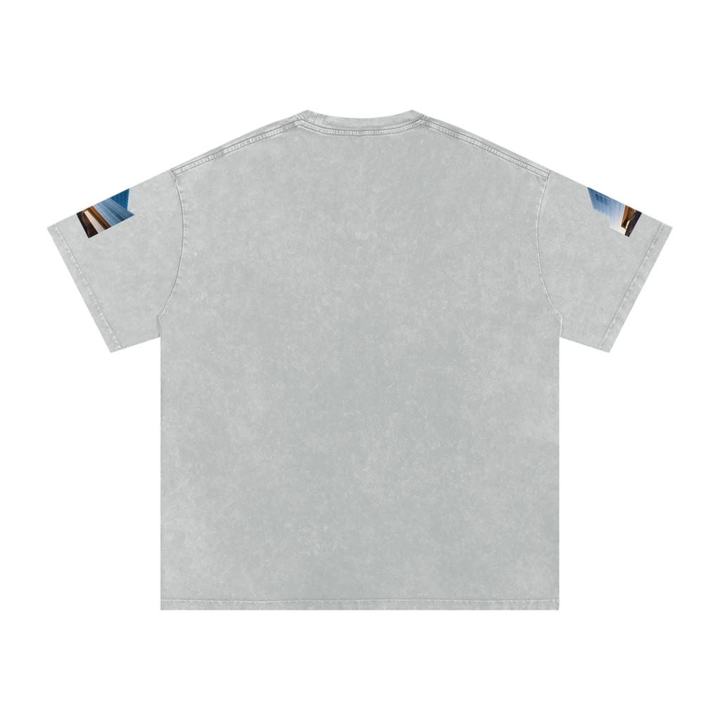 LW 123 Snow Washed Oversized Cotton T-Shirt