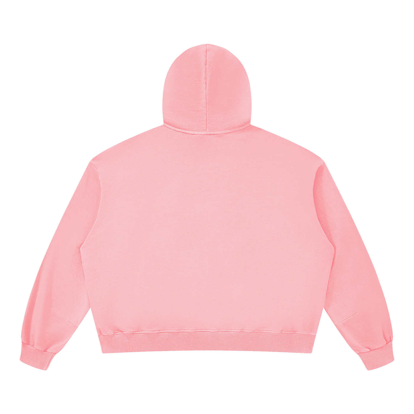 LW 123  Boxy Vintage Washed Hoodie