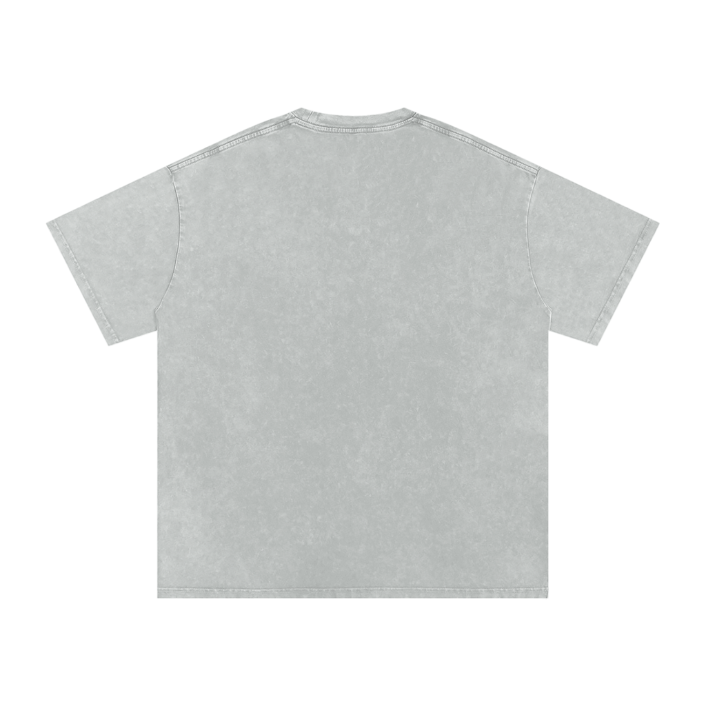 LW 123 Snow Washed Oversized Cotton T-Shirt