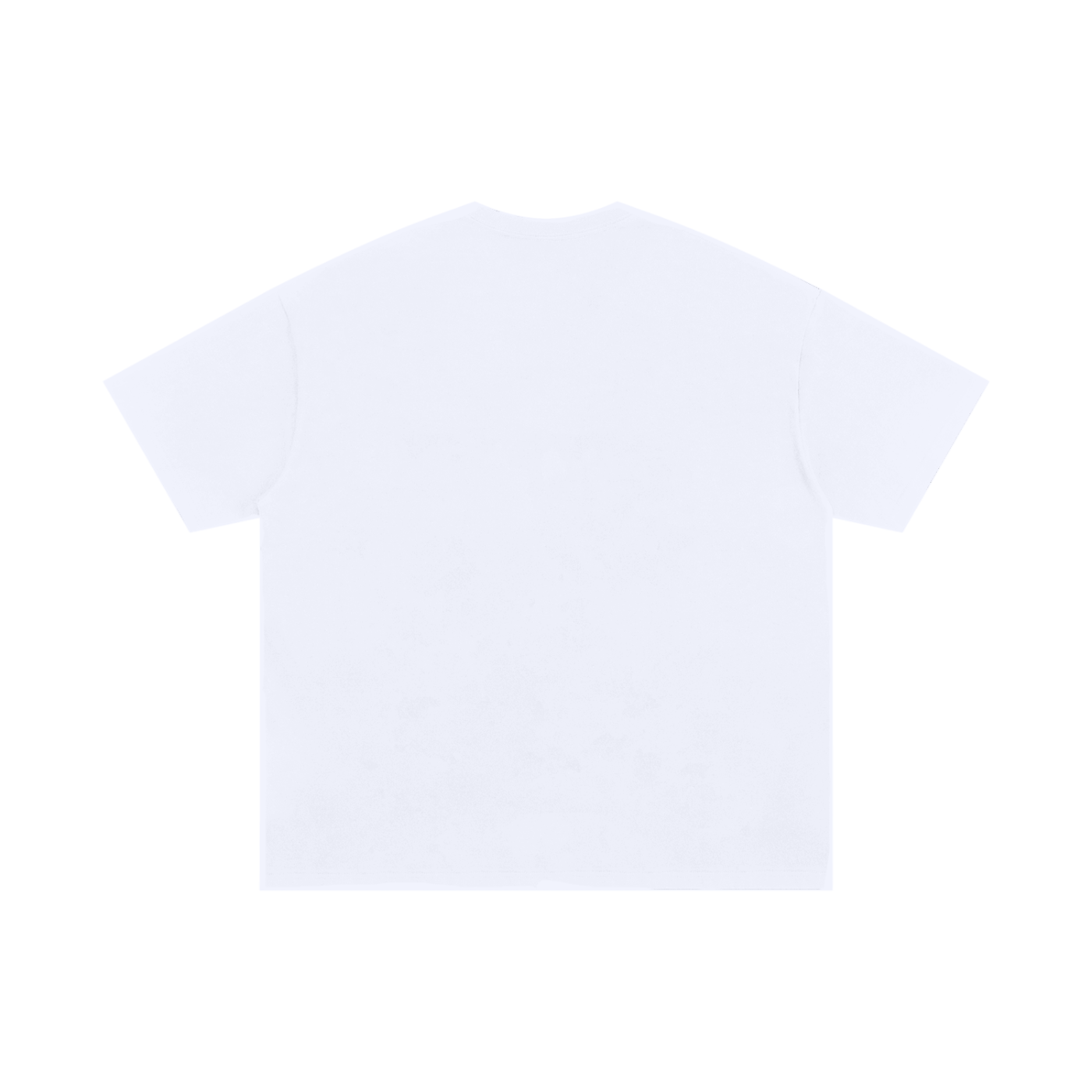 LW 123 Oversized Cotton T-Shirt