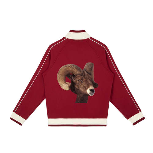 Color Block Raglan Sleeve Zip Track Jacket