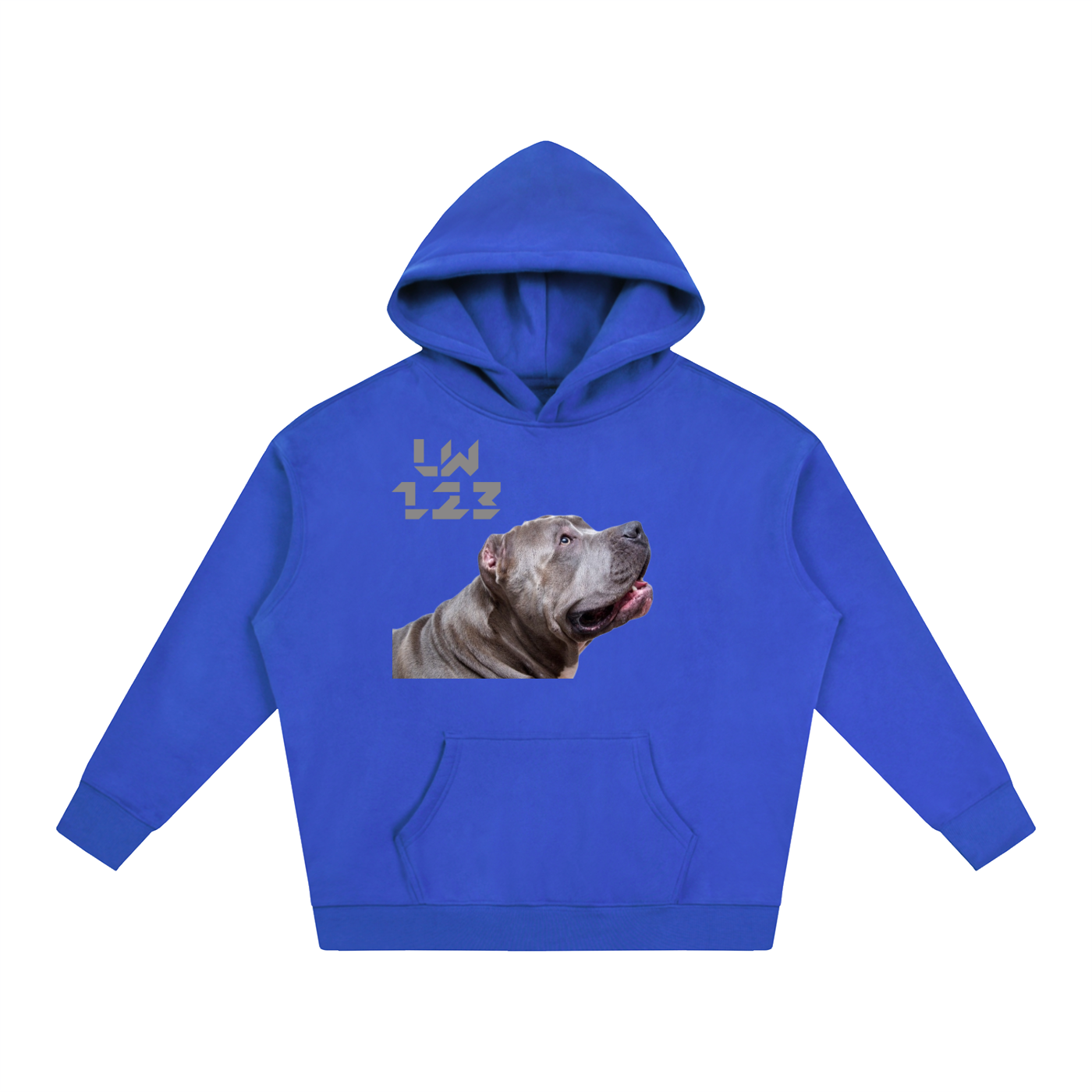 LW 123 Oversize Fleeced Hoodie